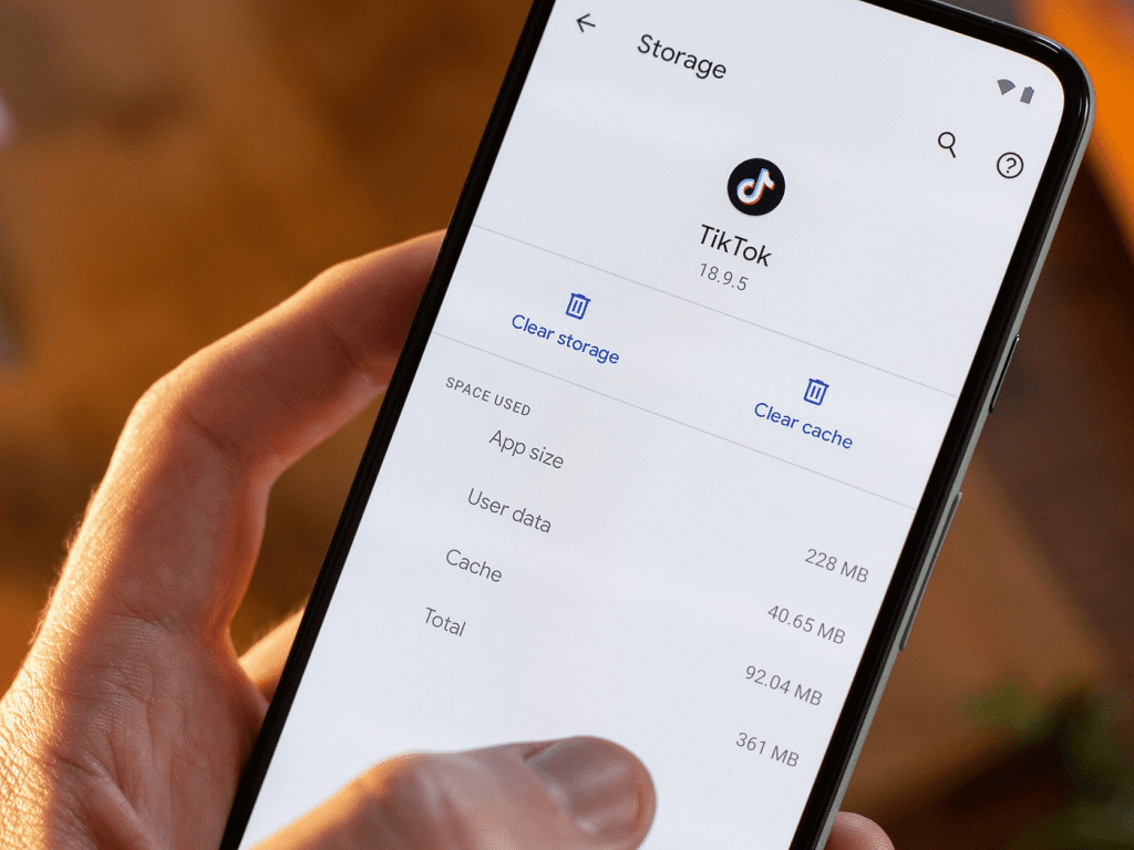 Clear the Download Manager's cache