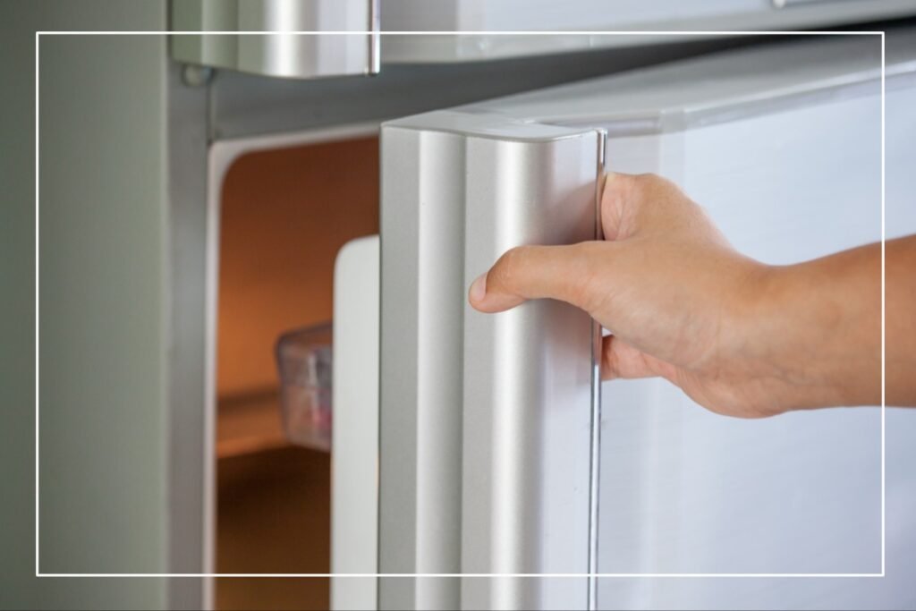 How To Stop Noise Coming From Samsung Fridge?